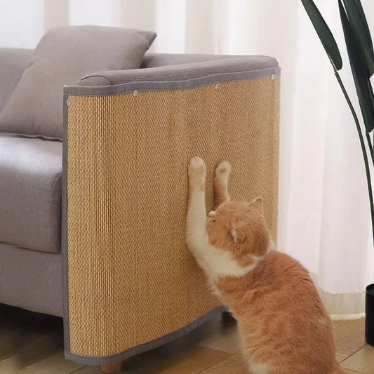 Anti cat scratch - Protect your sofa